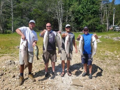 Nice Striped Bass