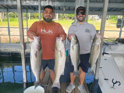Nice Striped Bass