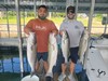 (08/20/2023) - Nice Striped Bass