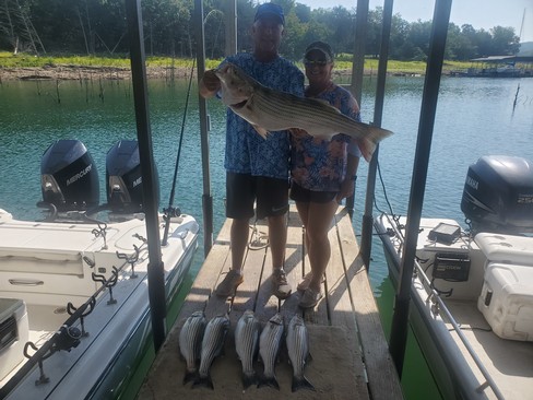 Nice Striped Bass
