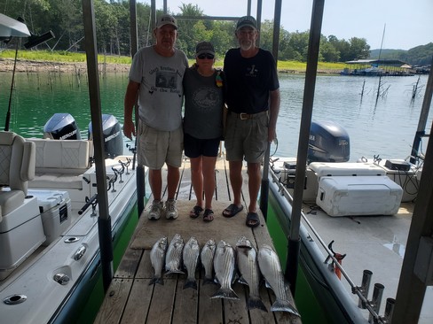 Nice Striped Bass