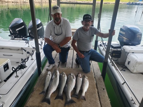 Nice Striped Bass
