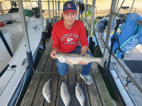 Nice Striped Bass