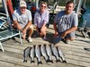 (09/02/2023) - Nice Striped Bass