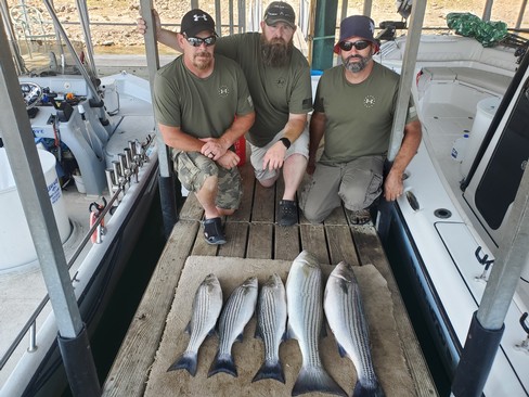 Nice Striped Bass