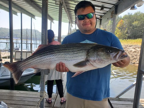 Nice Striped Bass