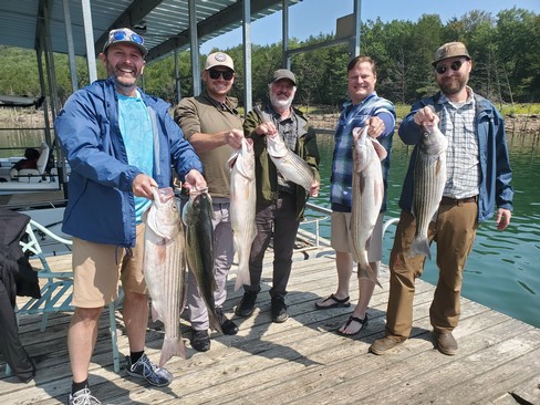 Nice Striped Bass