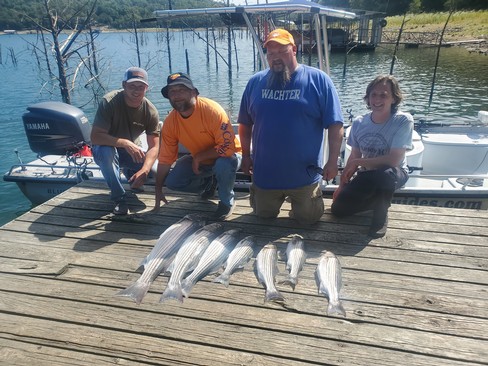 Nice Striped Bass