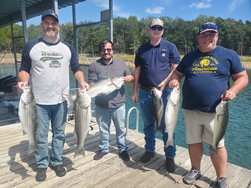 Nice Striped Bass