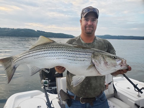 Nice Striped Bass