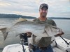 (09/16/2023) - Nice Striped Bass