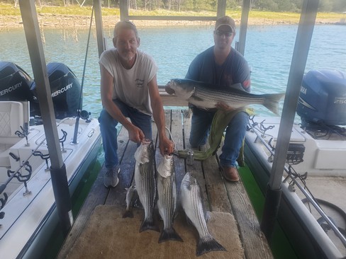 Nice Striped Bass