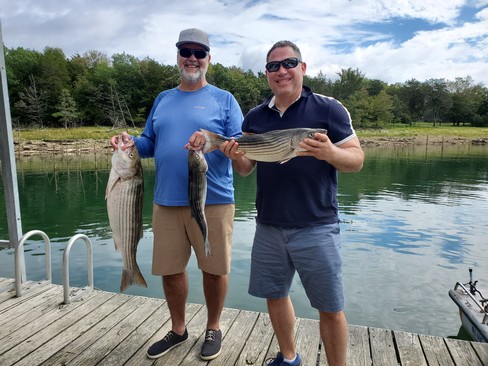 Nice Striped Bass