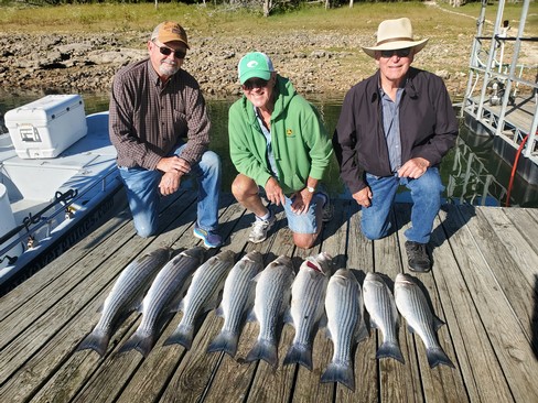 Nice Striped Bass