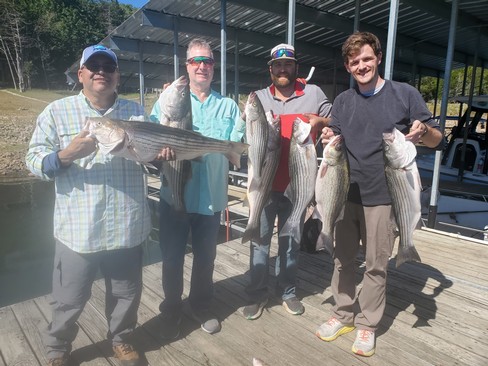 Nice Striped Bass