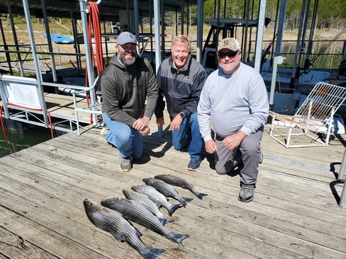 Nice Striped Bass