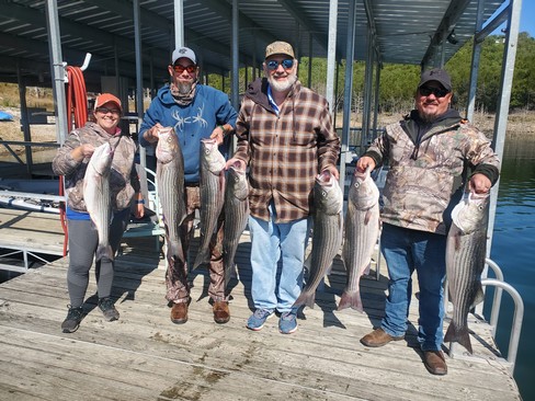 Nice Striped Bass