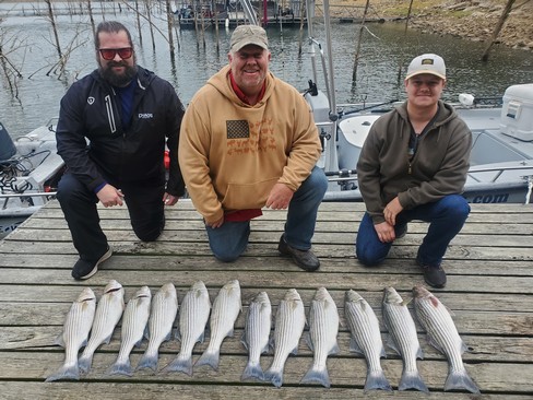 Nice Striped Bass