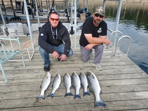 Nice Striped Bass