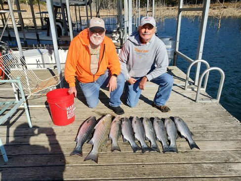 Nice Striped Bass