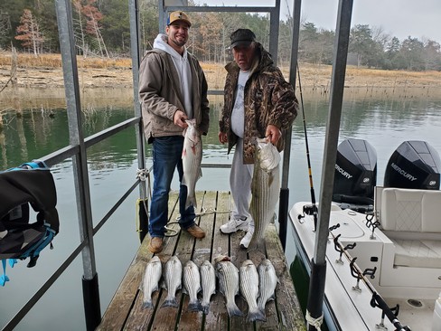 Nice Striped Bass