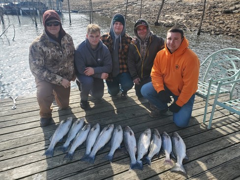 Nice Striped Bass