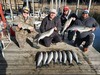 (11/29/2023) - Nice Striped Bass