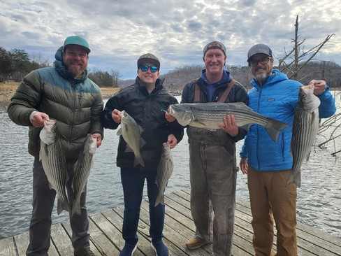 Nice Striped Bass