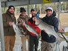 (12/15/2023) - Nice Striped Bass