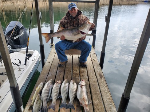 Nice Striped Bass