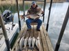 (12/21/2023) - Nice Striped Bass