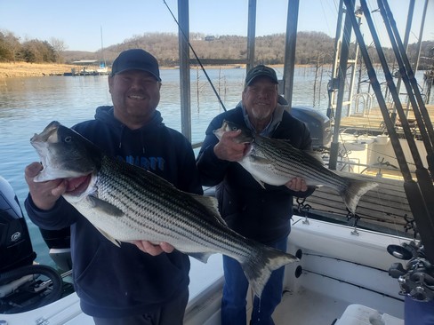 Nice Striped Bass