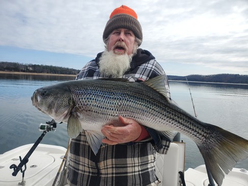 Nice Striped Bass