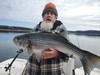 (03/01/2024) - Nice Striped Bass