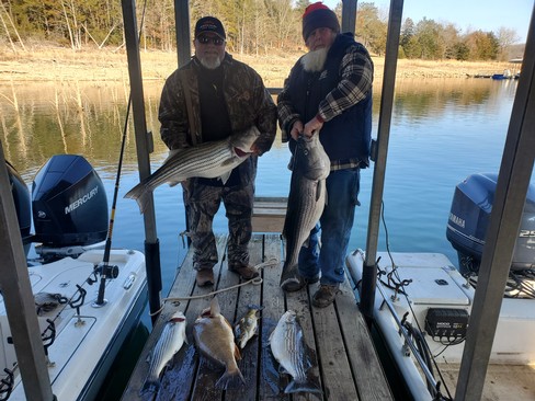 Nice Striped Bass