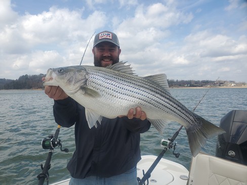 Nice Striped Bass