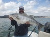(03/04/2024) - Nice Striped Bass