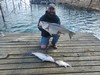 (03/04/2024) - Nice Striped Bass