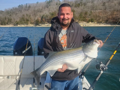 Nice Striped Bass