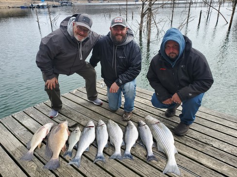 Nice Striped Bass