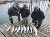(03/06/2024) - Nice Striped Bass