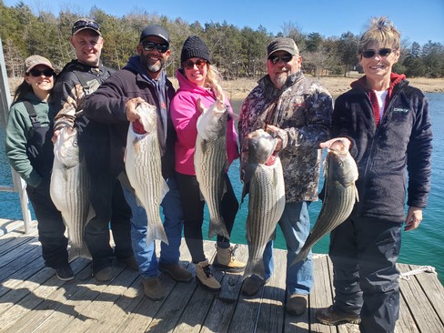 Nice Striped Bass
