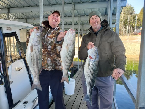 Nice Striped Bass