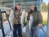 (03/17/2024) - Nice Striped Bass