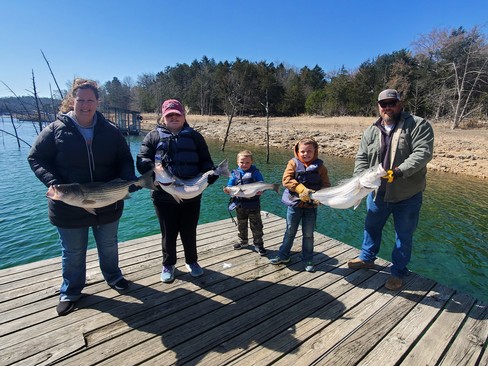 Nice Striped Bass