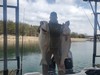 (03/22/2024) - Nice Striped Bass