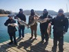 (03/23/2024) - Nice Striped Bass