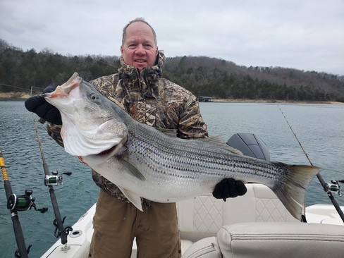 Nice Striped Bass