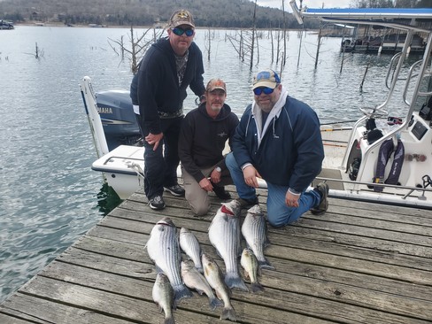Nice Striped Bass