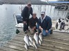 (03/31/2024) - Nice Striped Bass